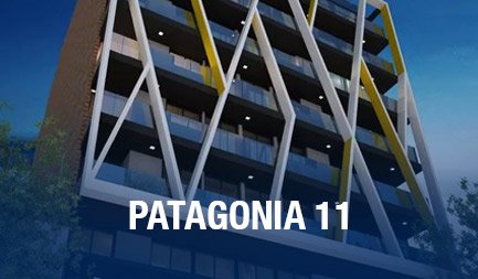 Patagonia 11